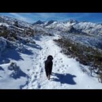 Excursiones a la Montaña con Mascotas: Consejos y Rutas para Disfrutar al Aire Libre