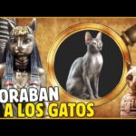 Mitología de los gatos en civilizaciones antiguas: Explorando su fascinante legado