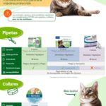 Protege a tu gato: Identifica y combate parásitos de forma efectiva