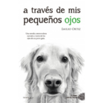 Retriever: Descubre la lealtad y ternura en esta guía completa retriever-descubre-la-lealtad-y-ternura-en-esta-guia-completa