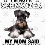 Schnauzer Bebés: Adorables cachorros que robarán tu corazón